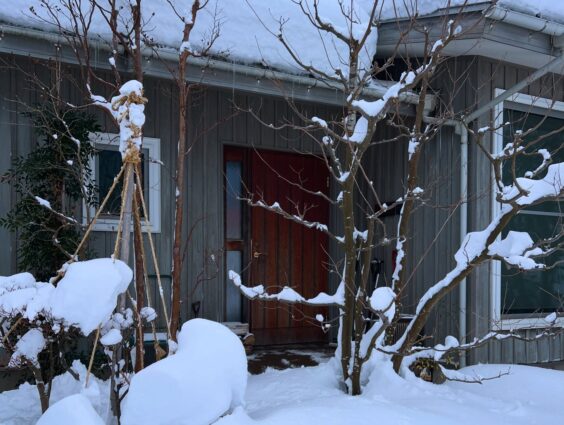 20250208まちなか山荘　積雪600 (2)